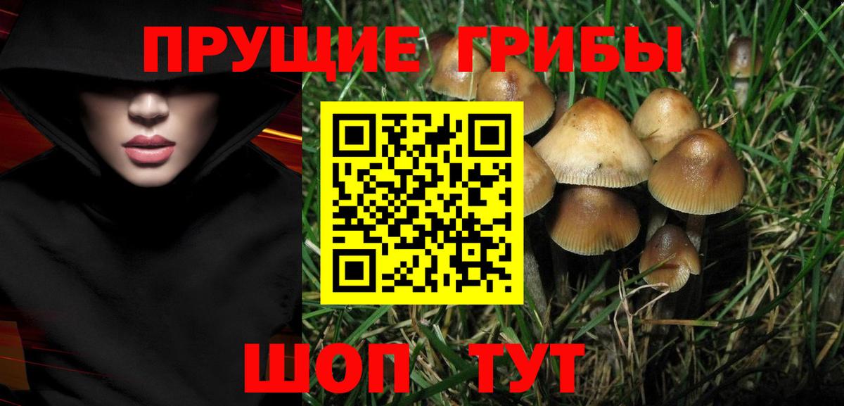 Псилоцибиновые грибы Magic Shrooms  даркнет сайт  Бутурлиновка  Вход с VPN  Псилоцибиновые грибы Psilocybe 